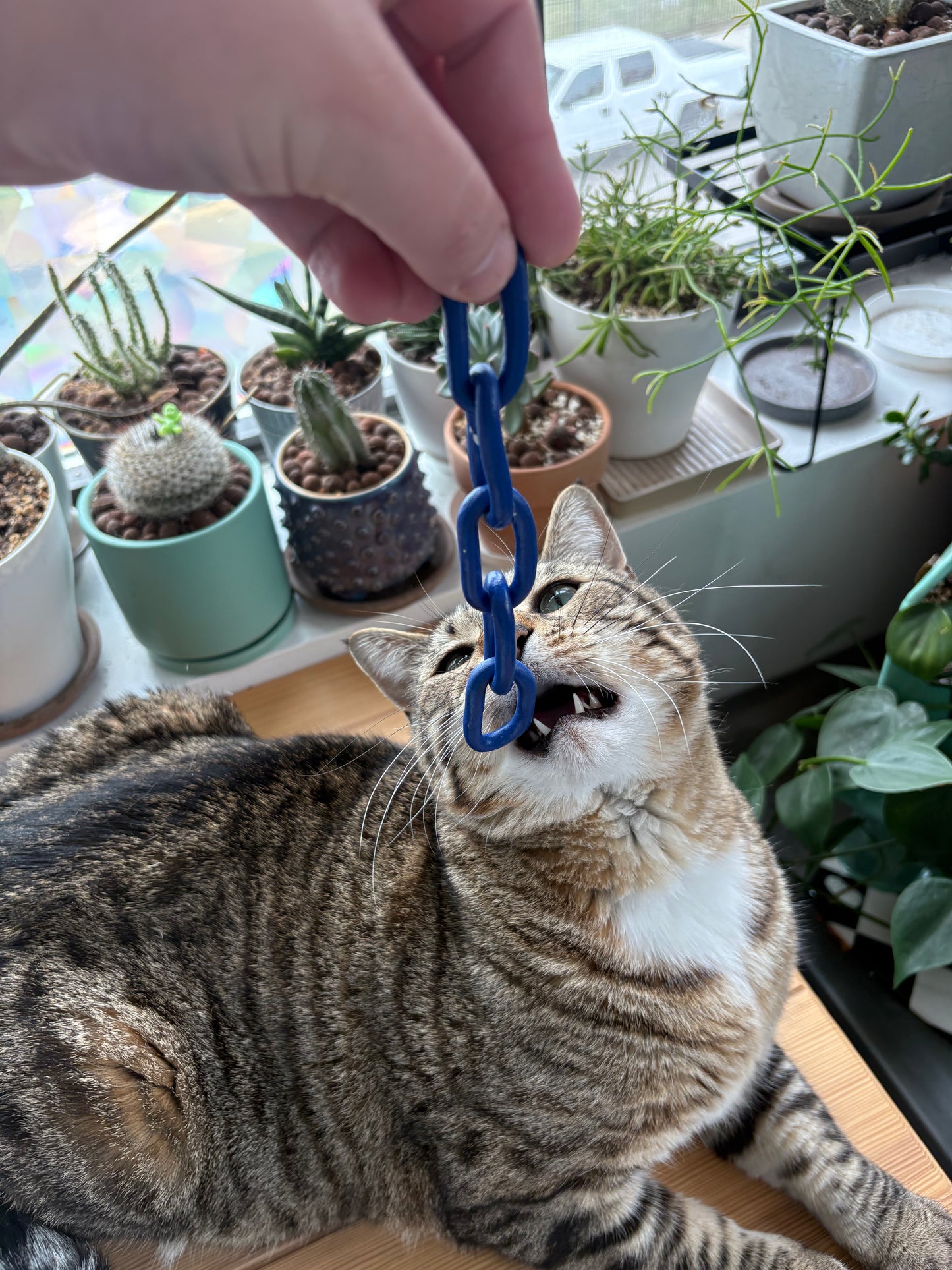 Chains