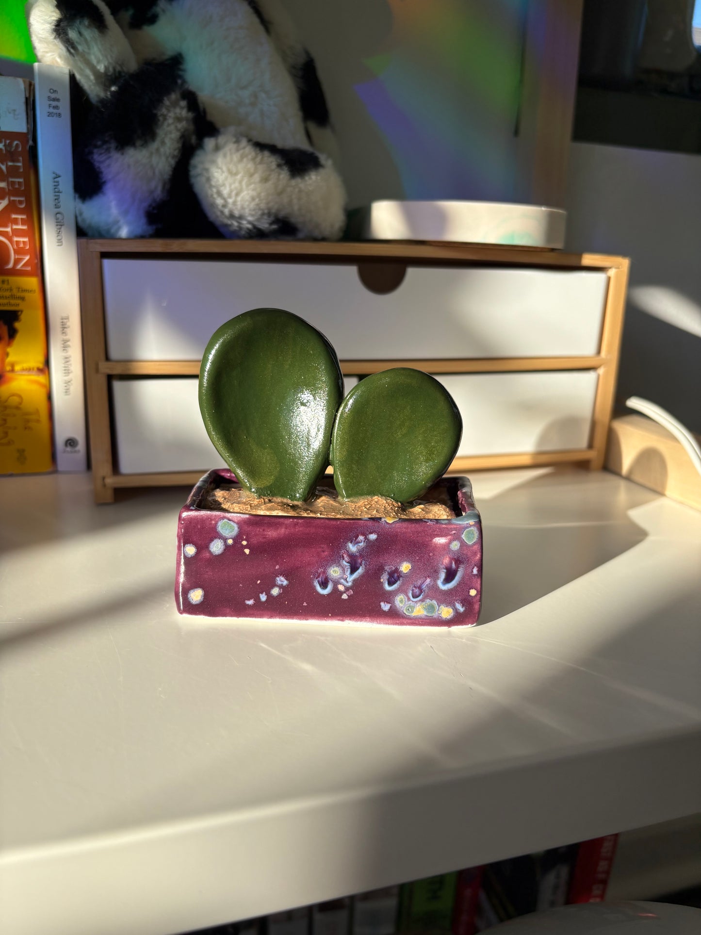 Forever Cactus (Multiple Options!)