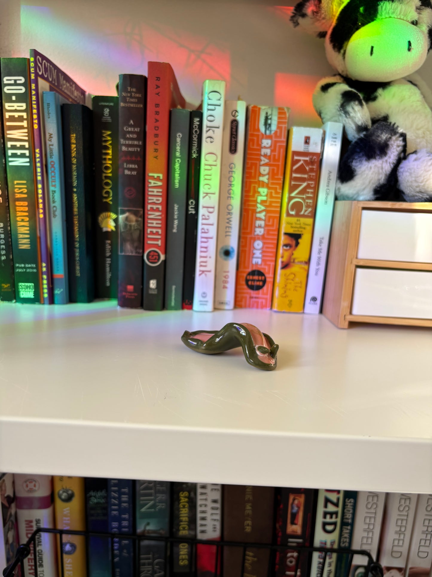 Slug Buddy (Multiple Variants!)