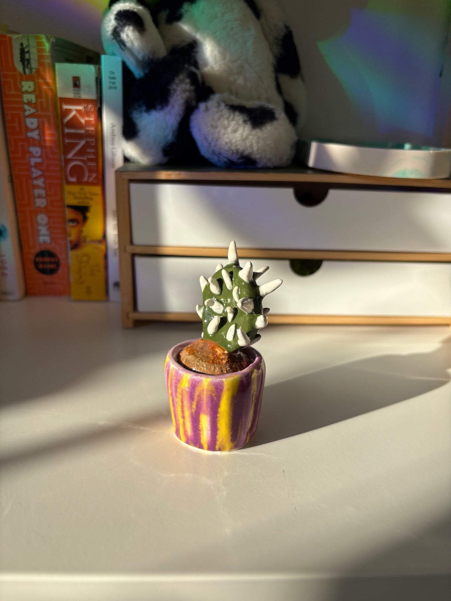 Forever Cactus (Multiple Options!)