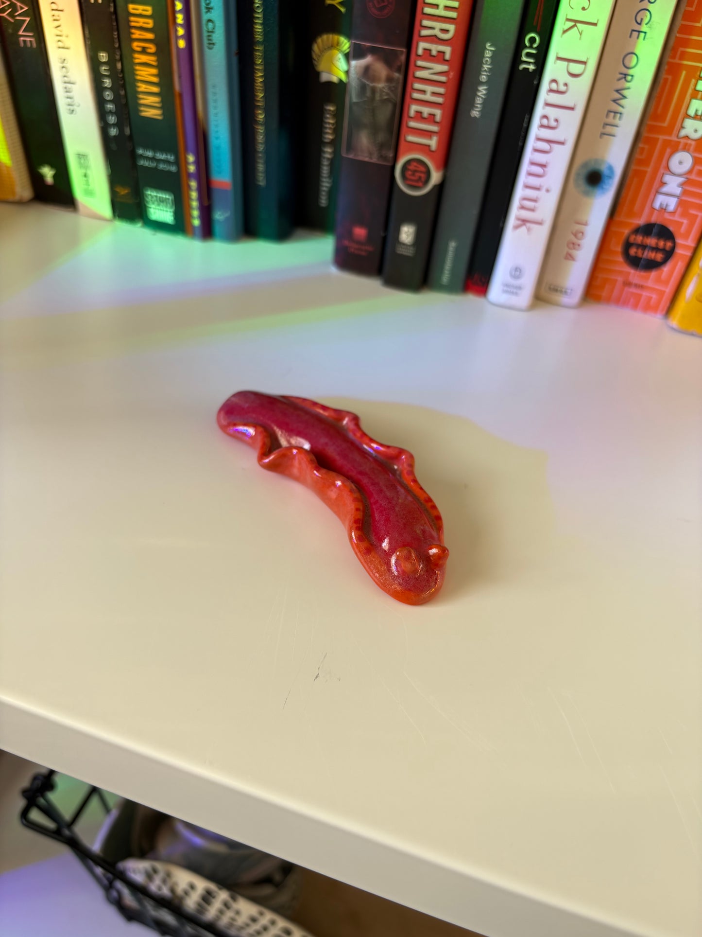 Slug Buddy (Multiple Variants!)