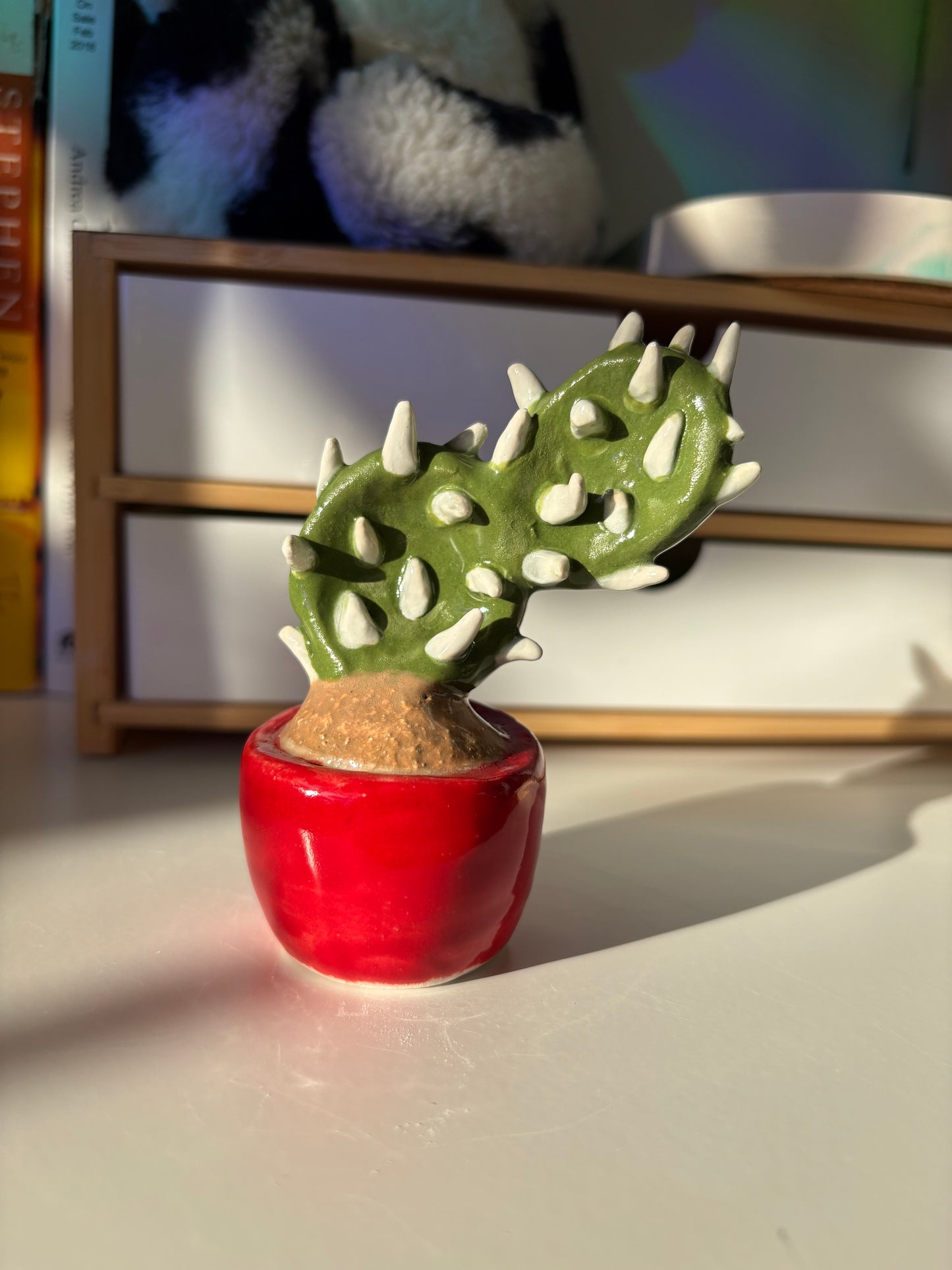 Forever Cactus (Multiple Options!)
