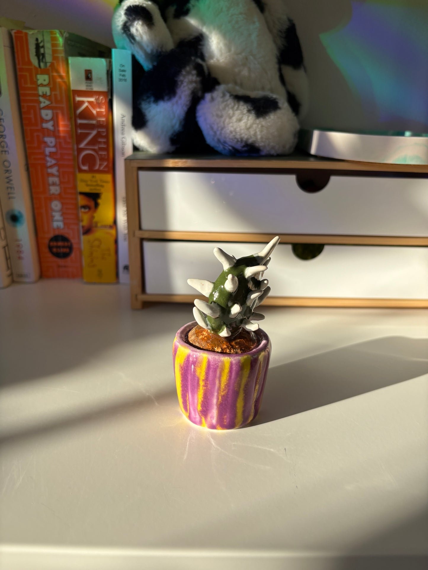 Forever Cactus (Multiple Options!)