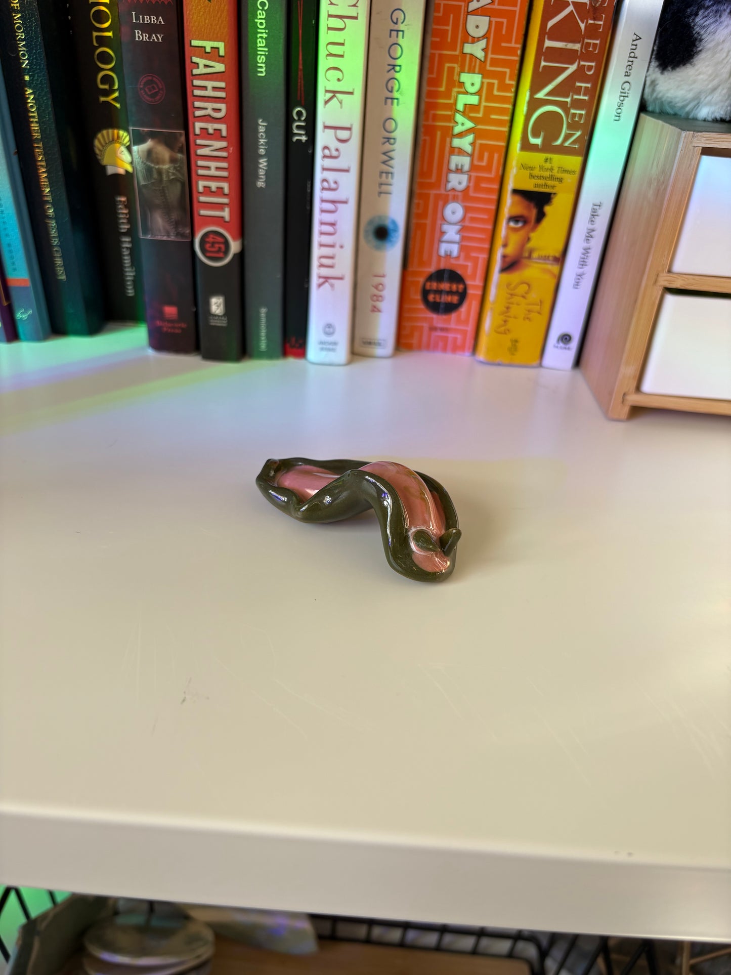 Slug Buddy (Multiple Variants!)