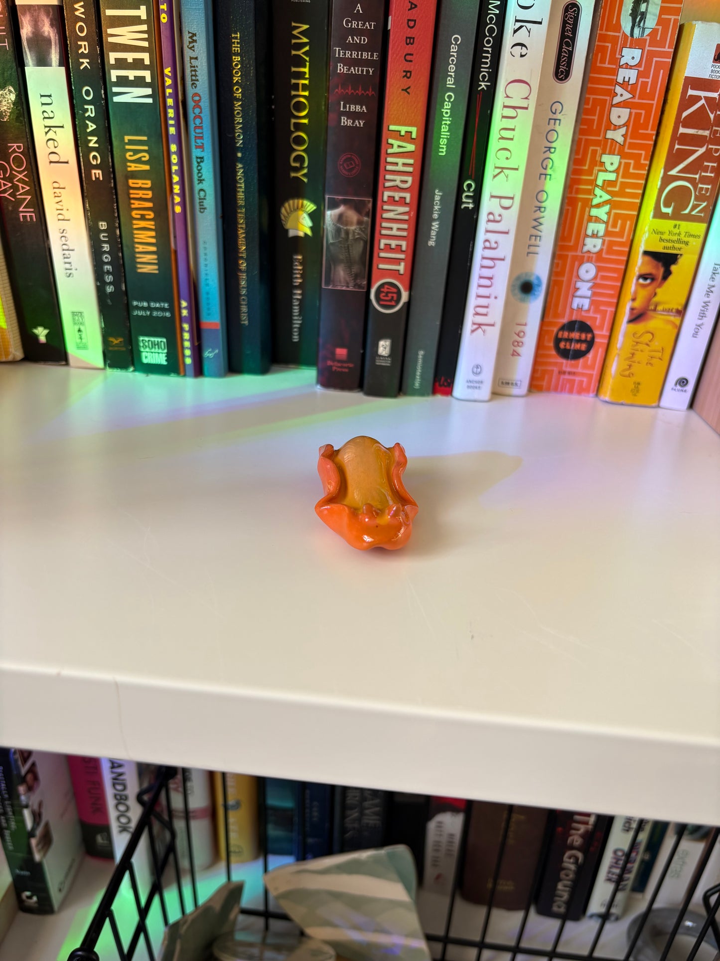 Slug Buddy (Multiple Variants!)