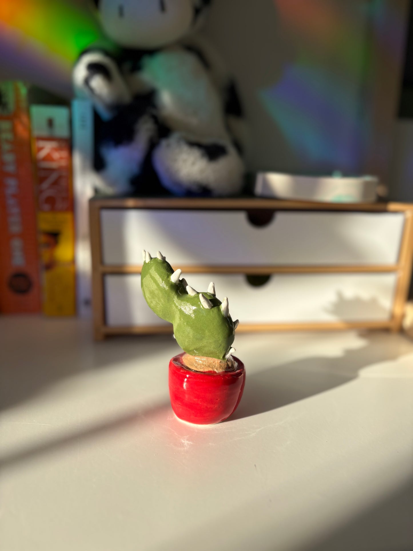 Forever Cactus (Multiple Options!)