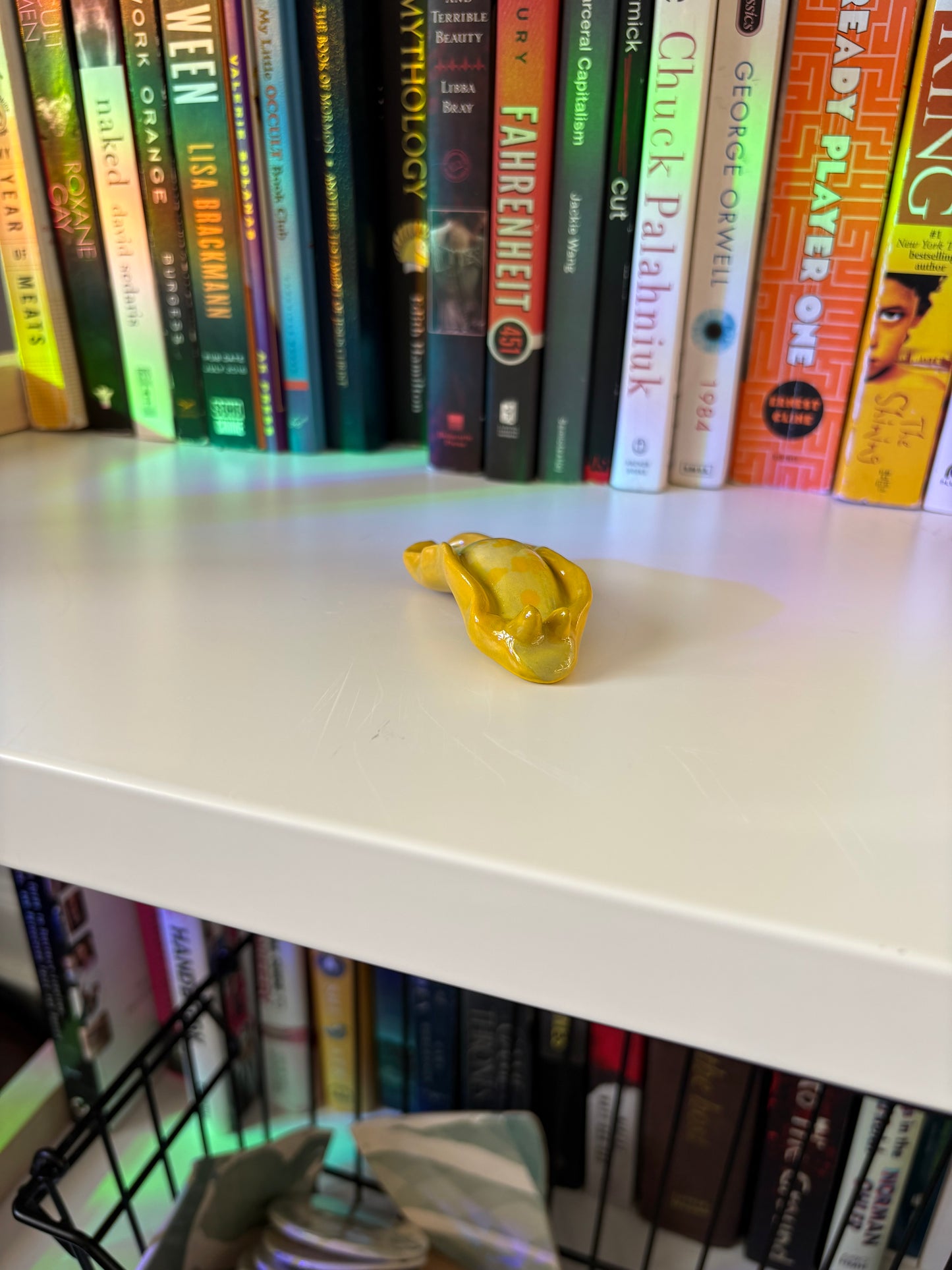 Slug Buddy (Multiple Variants!)