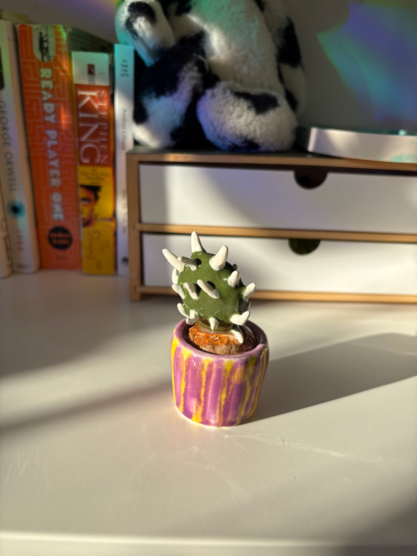 Forever Cactus (Multiple Options!)