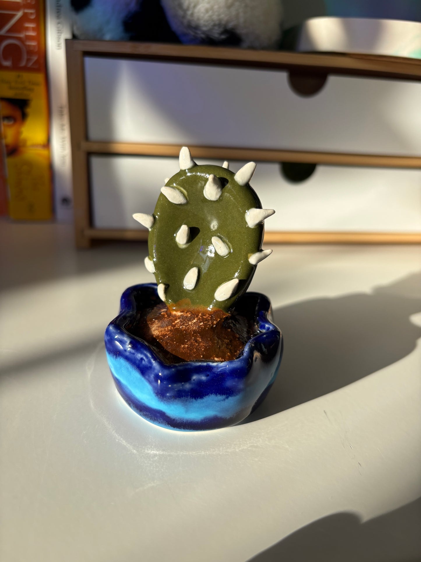 Forever Cactus (Multiple Options!)