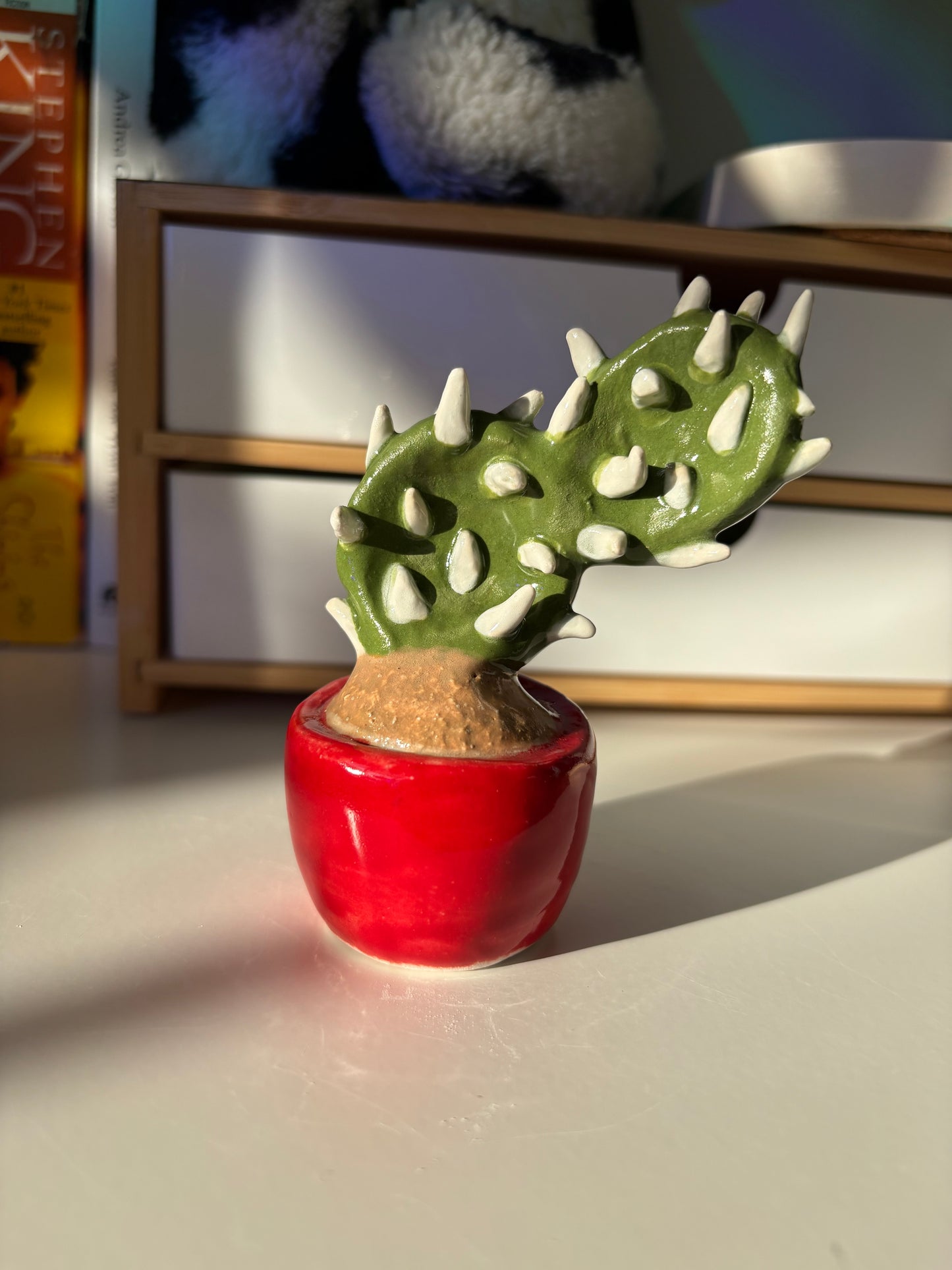 Forever Cactus (Multiple Options!)