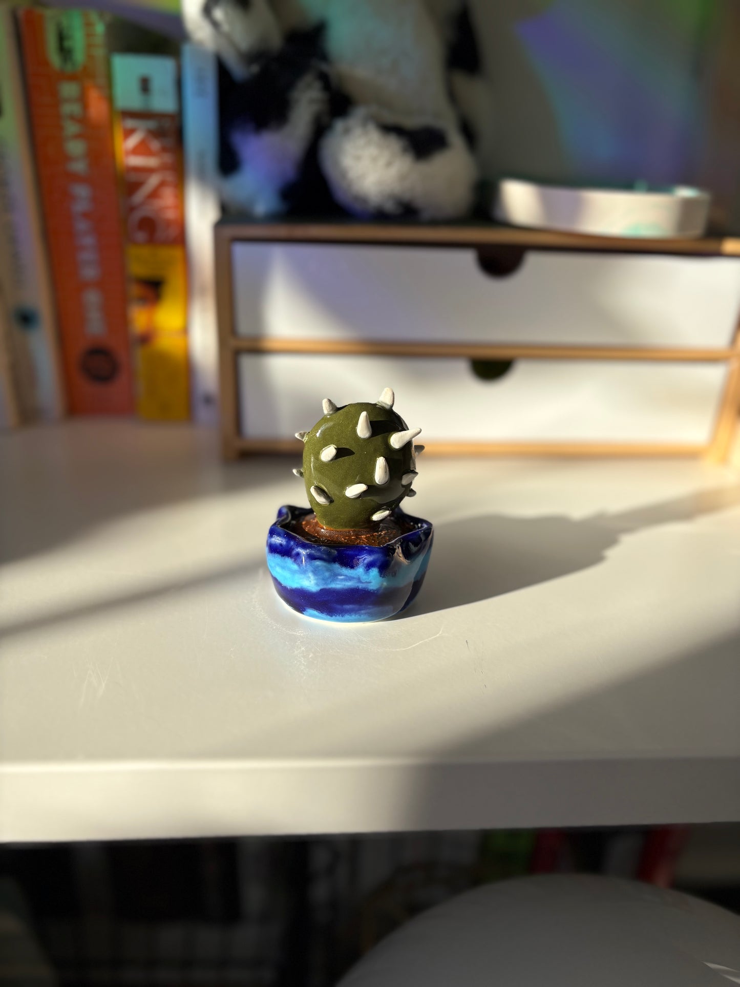 Forever Cactus (Multiple Options!)