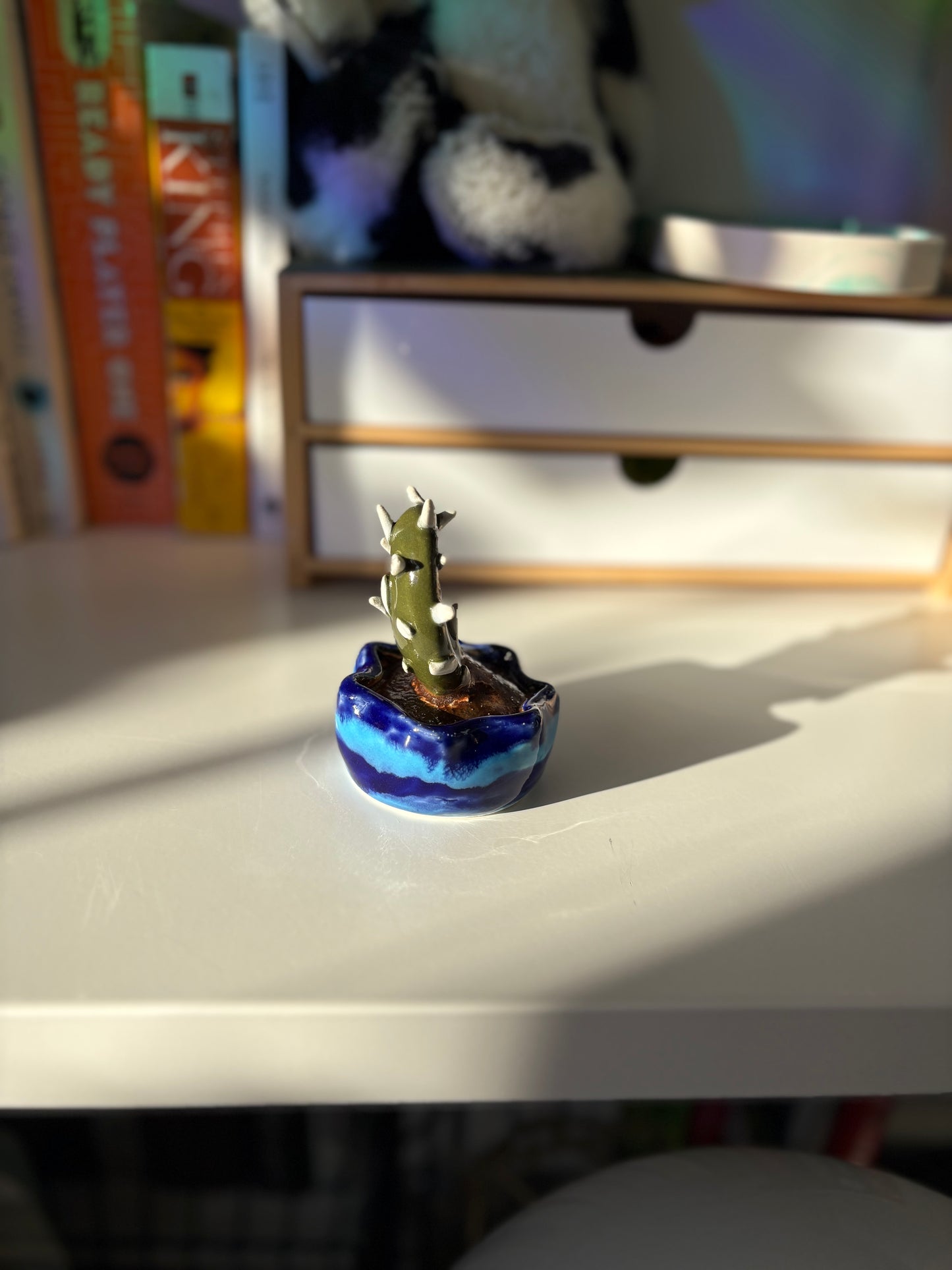 Forever Cactus (Multiple Options!)