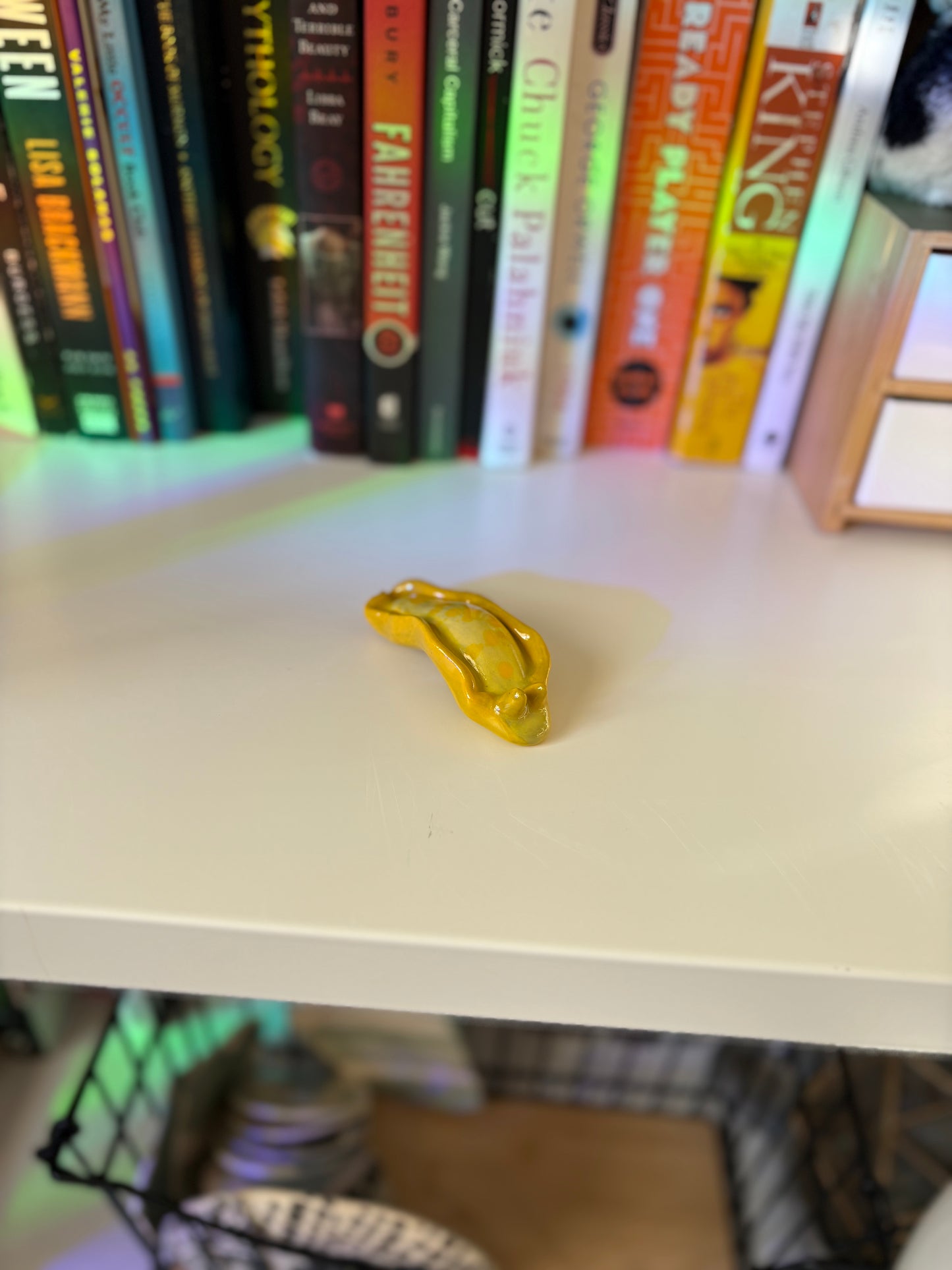 Slug Buddy (Multiple Variants!)