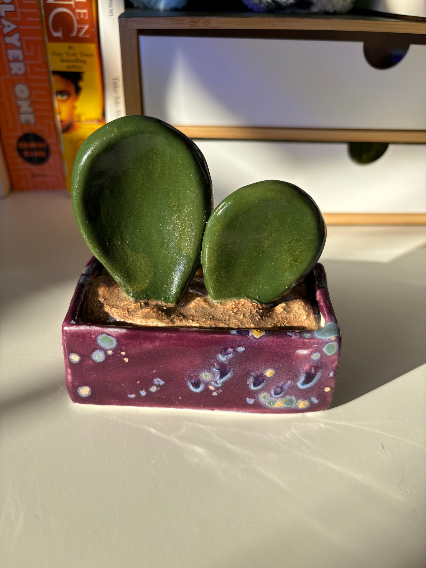 Forever Cactus (Multiple Options!)