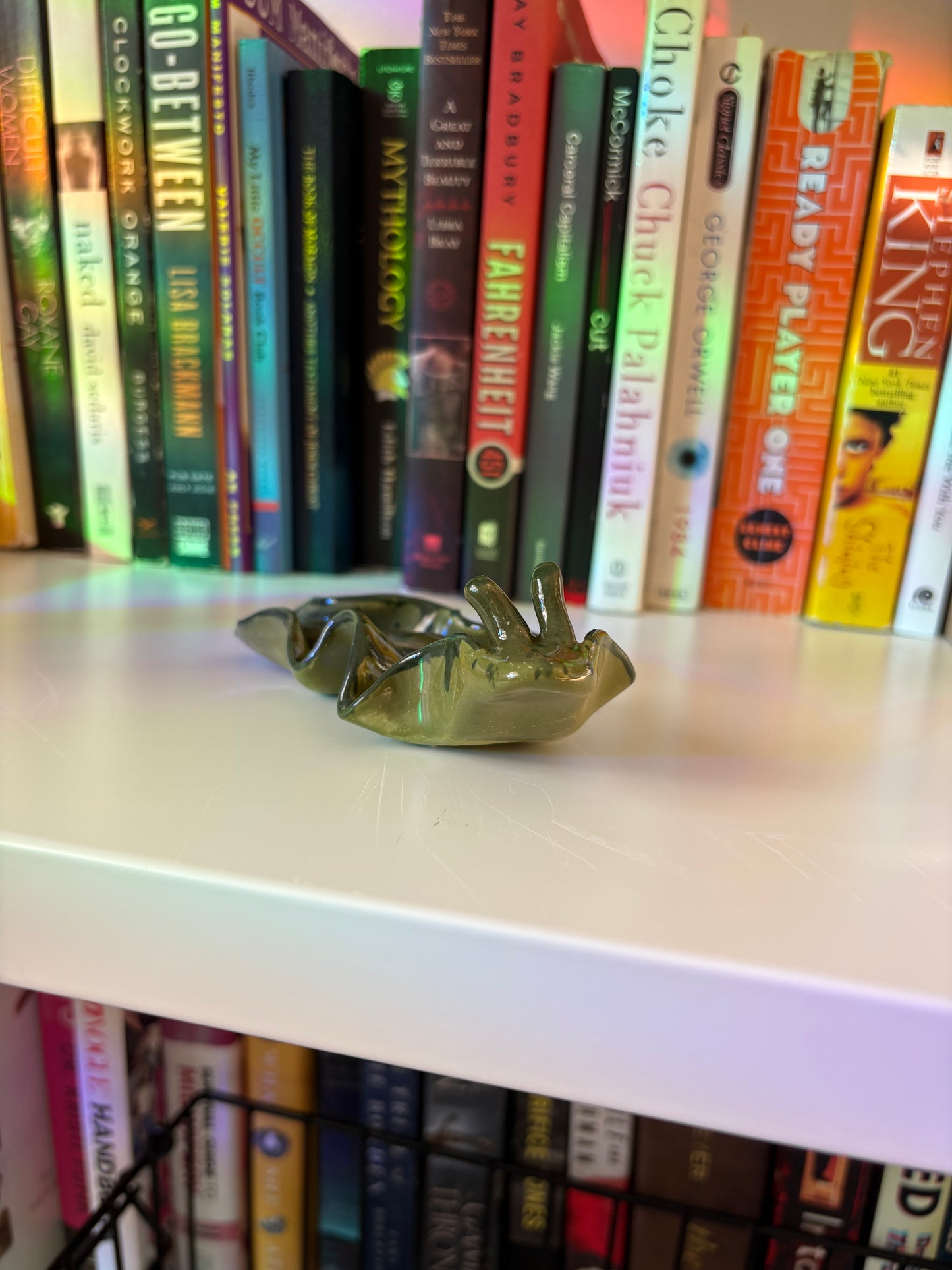 Slug Buddy (Multiple Variants!)