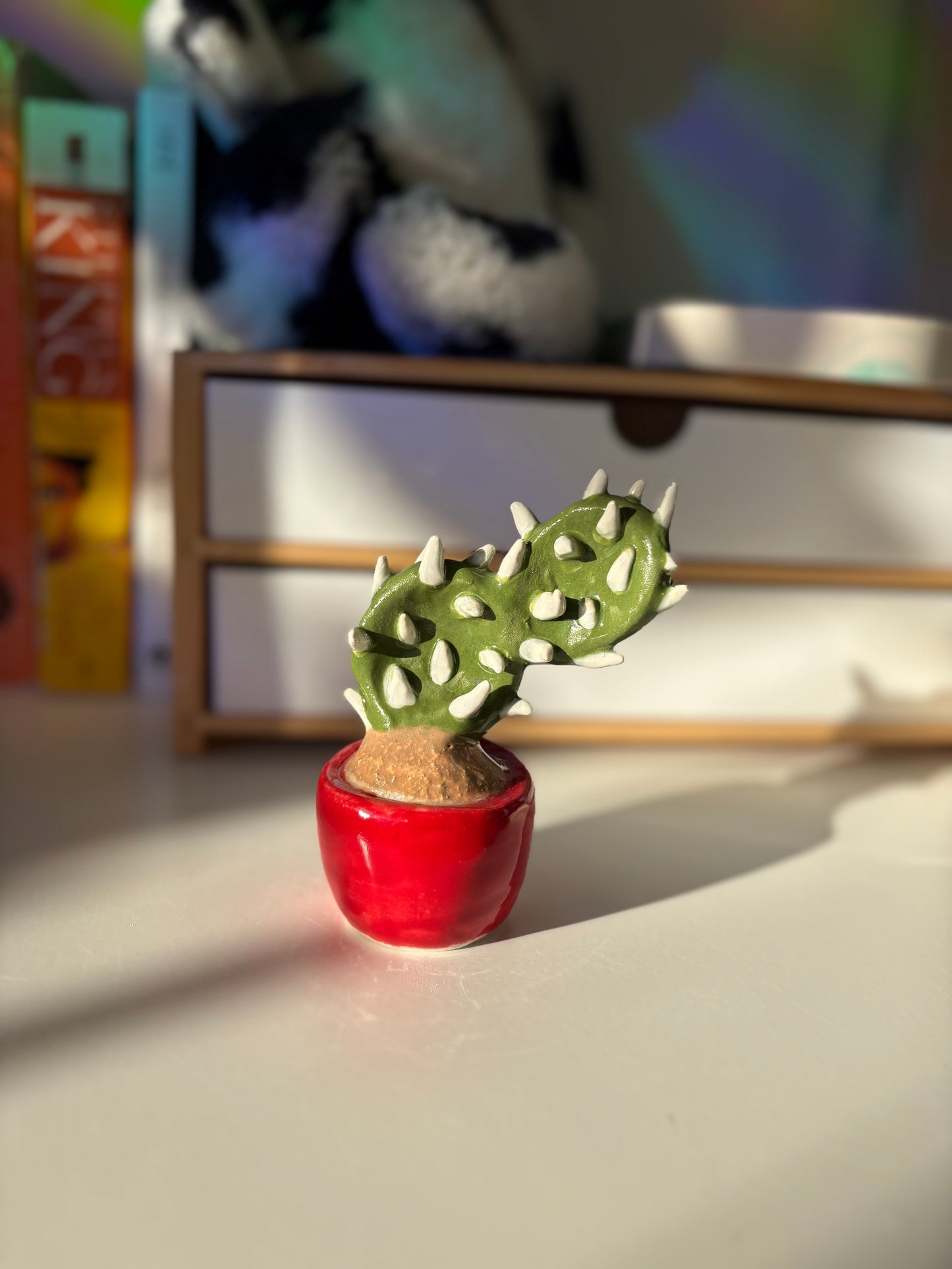 Forever Cactus (Multiple Options!)