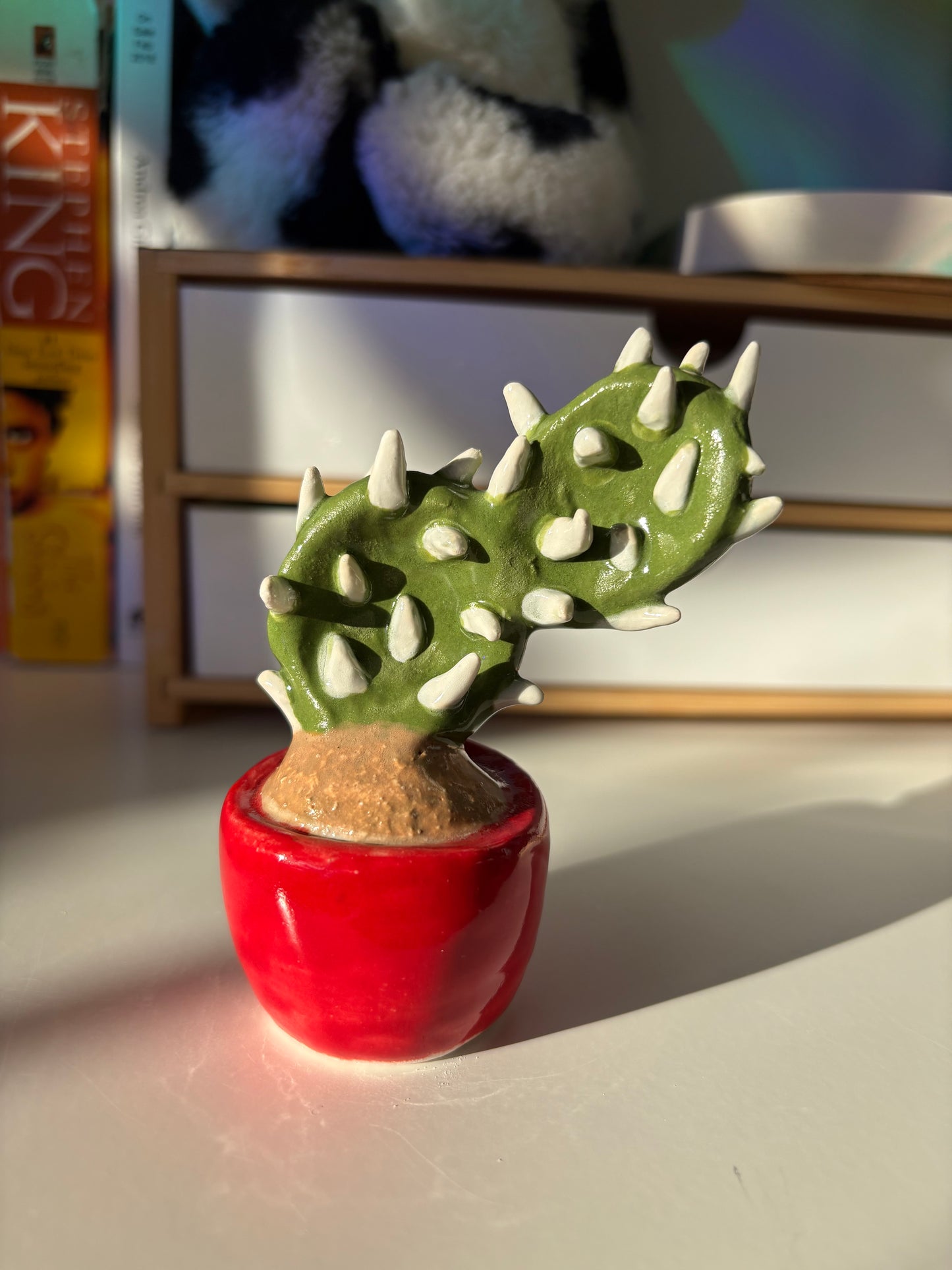 Forever Cactus (Multiple Options!)