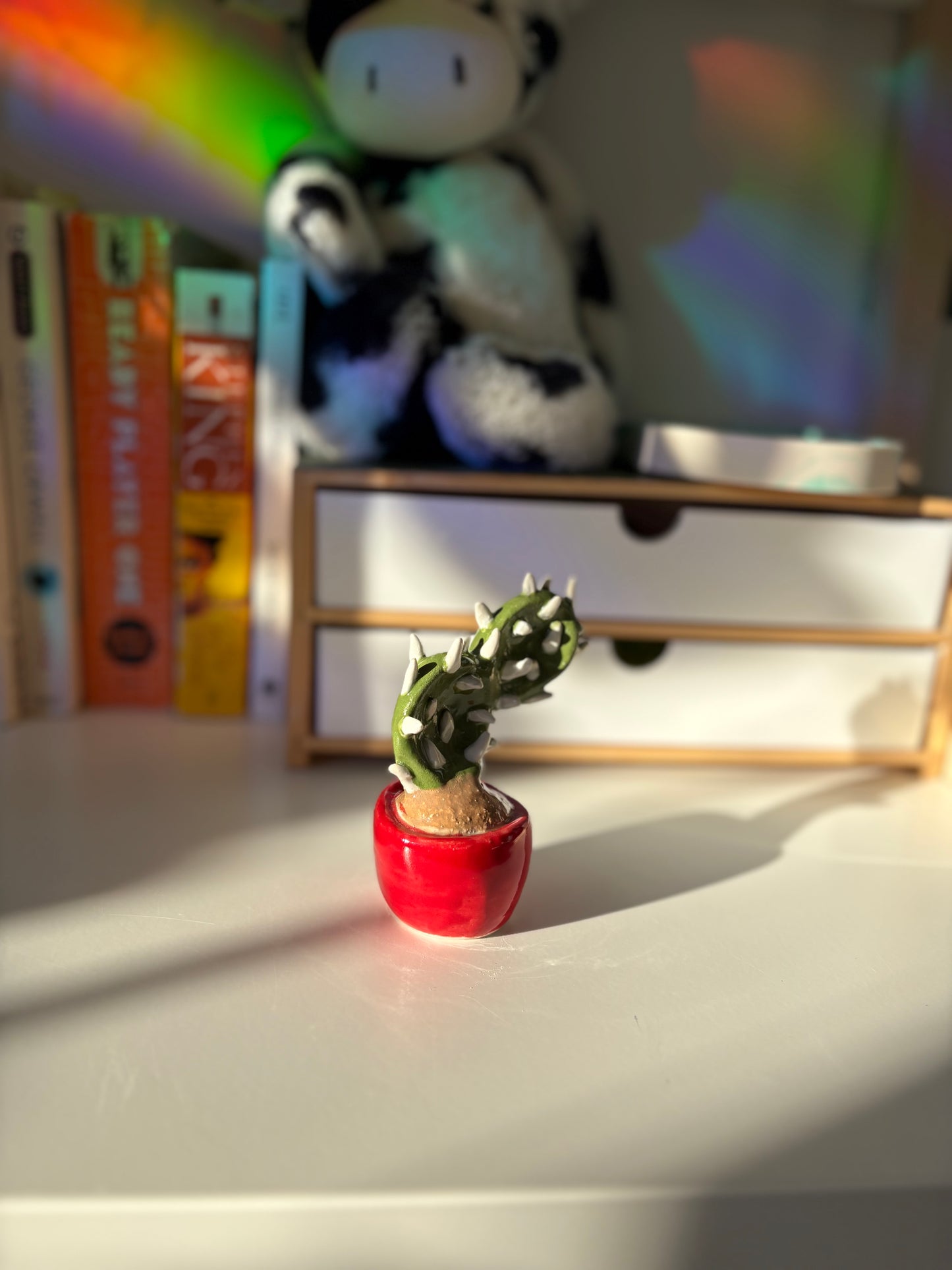 Forever Cactus (Multiple Options!)