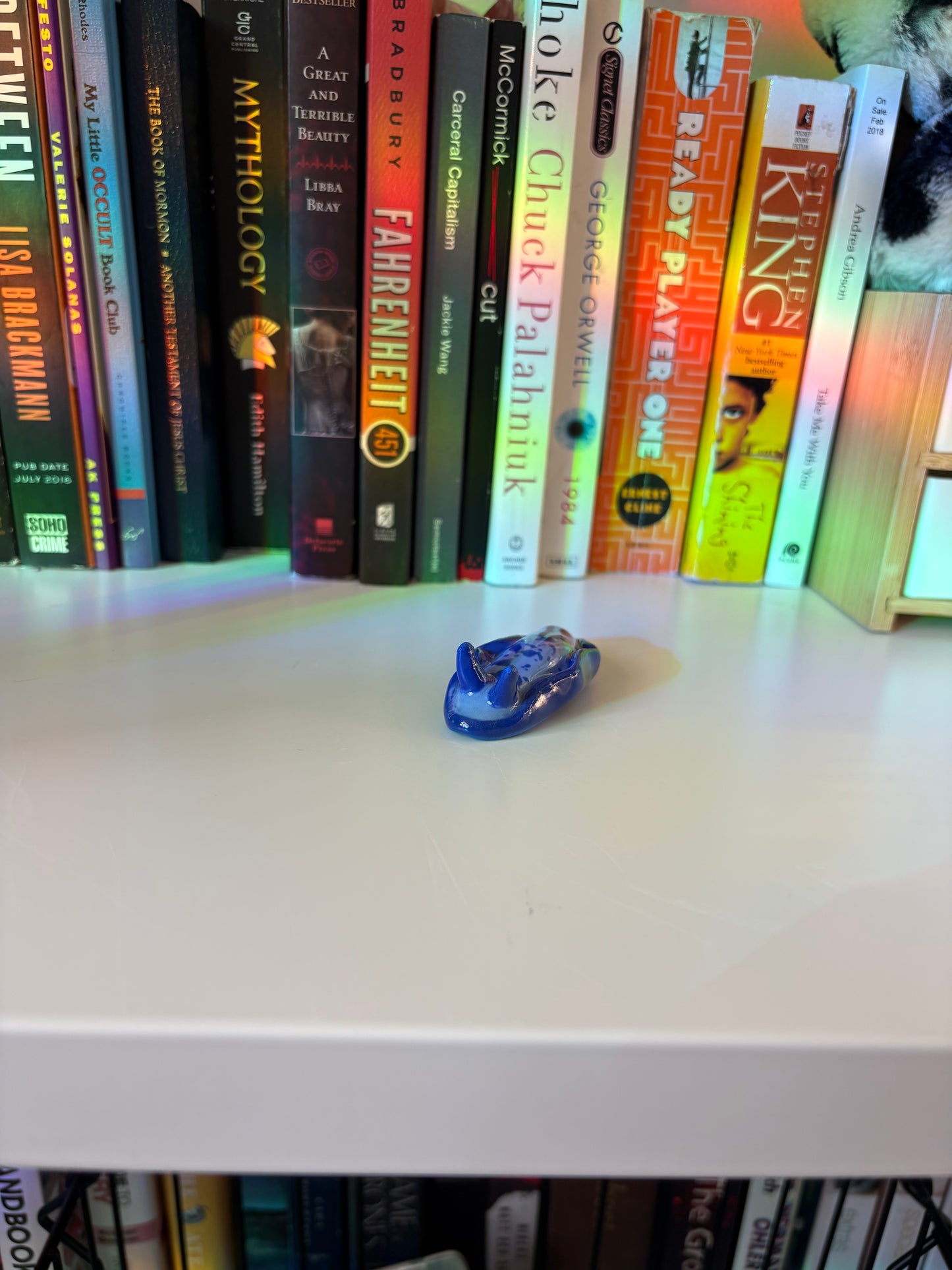 Slug Buddy (Multiple Variants!)