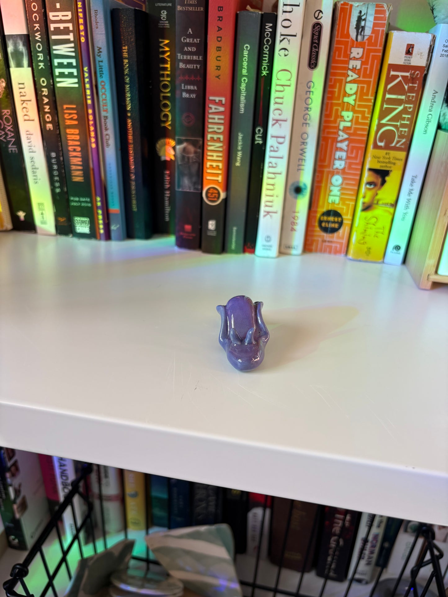 Slug Buddy (Multiple Variants!)