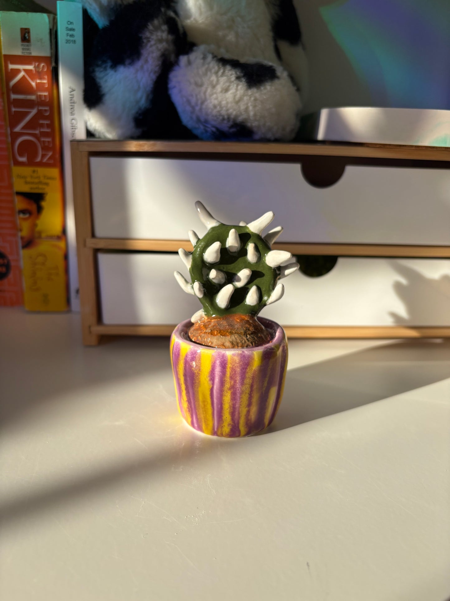 Forever Cactus (Multiple Options!)