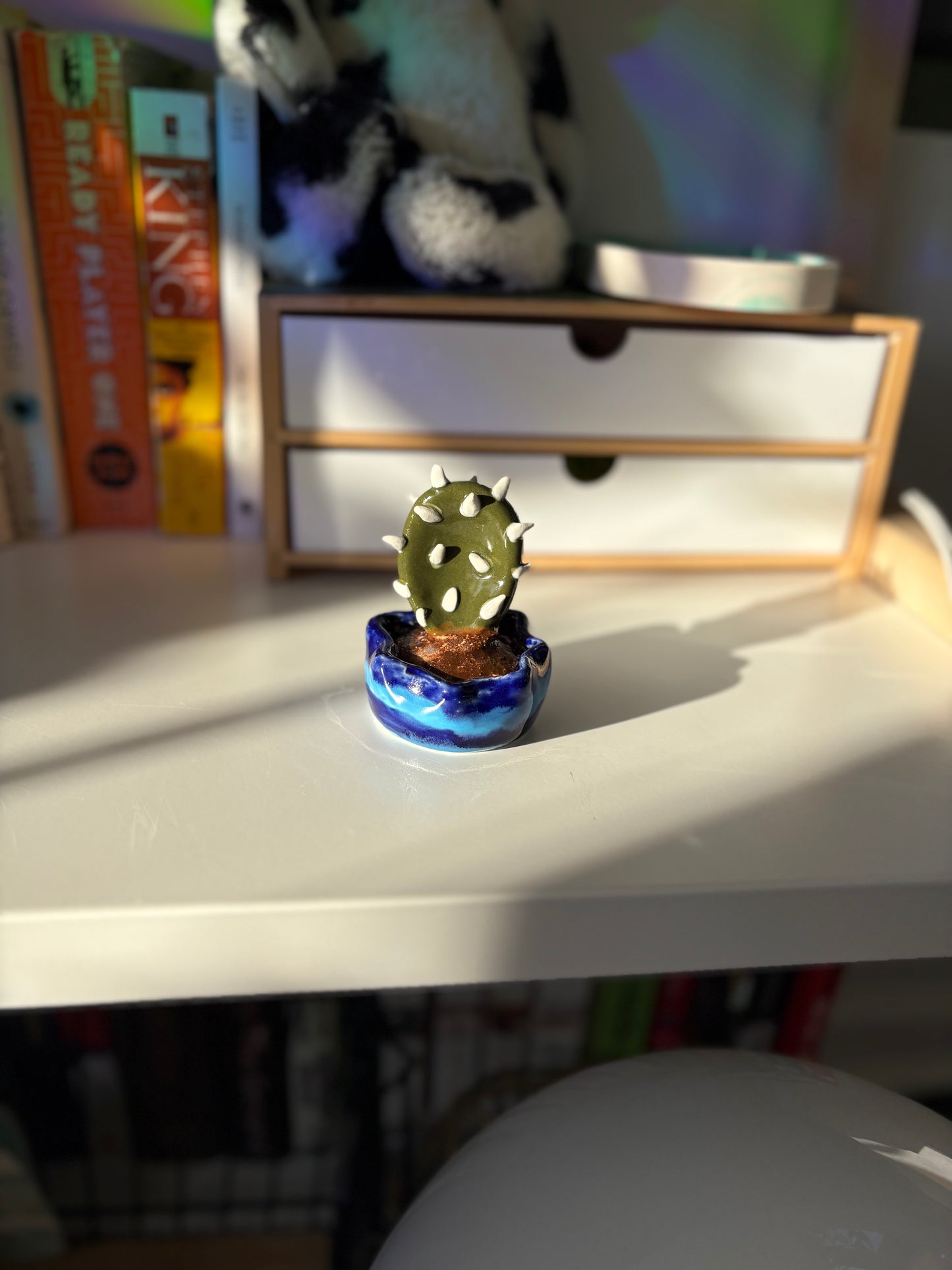 Forever Cactus (Multiple Options!)