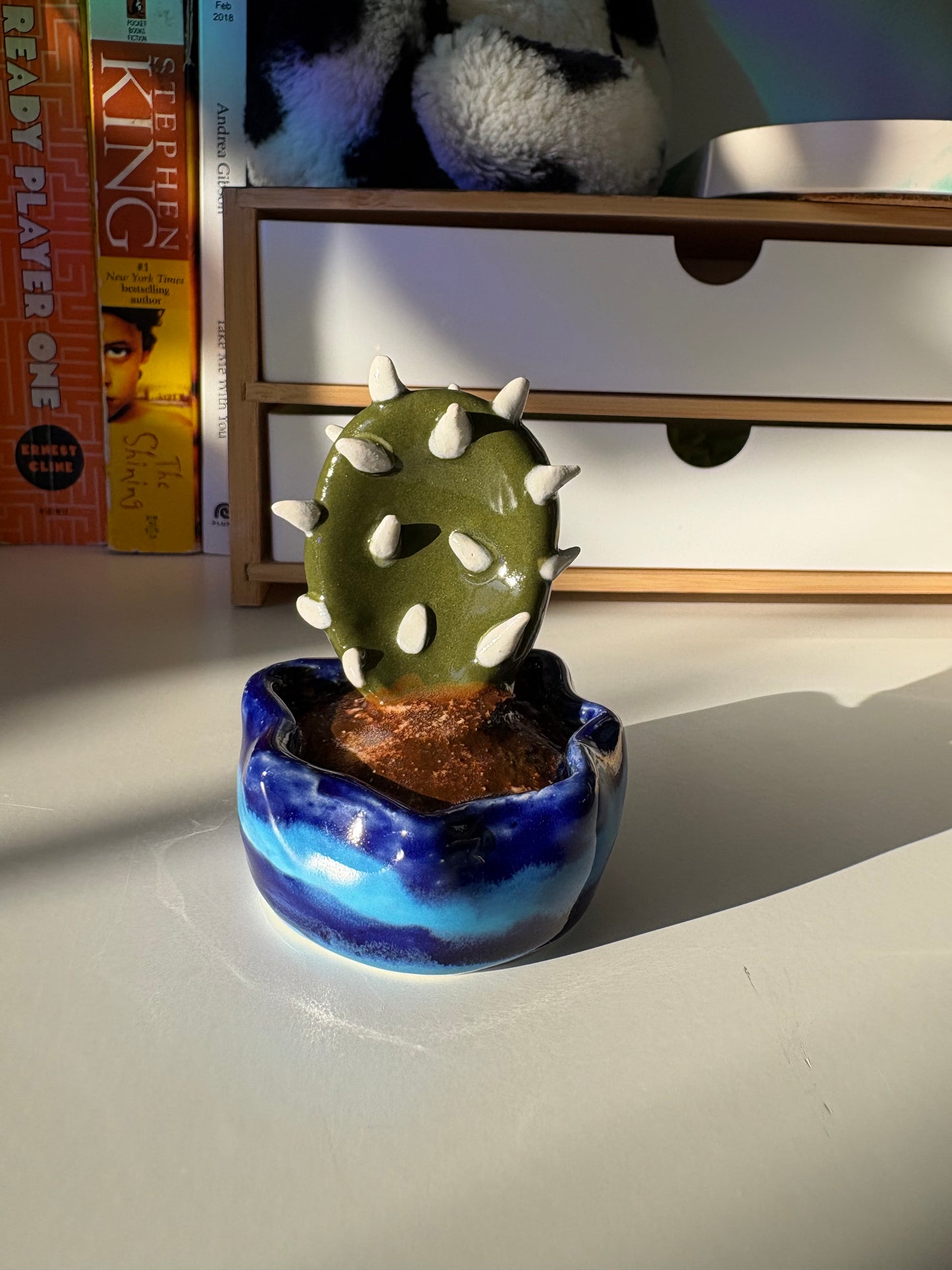 Forever Cactus (Multiple Options!)