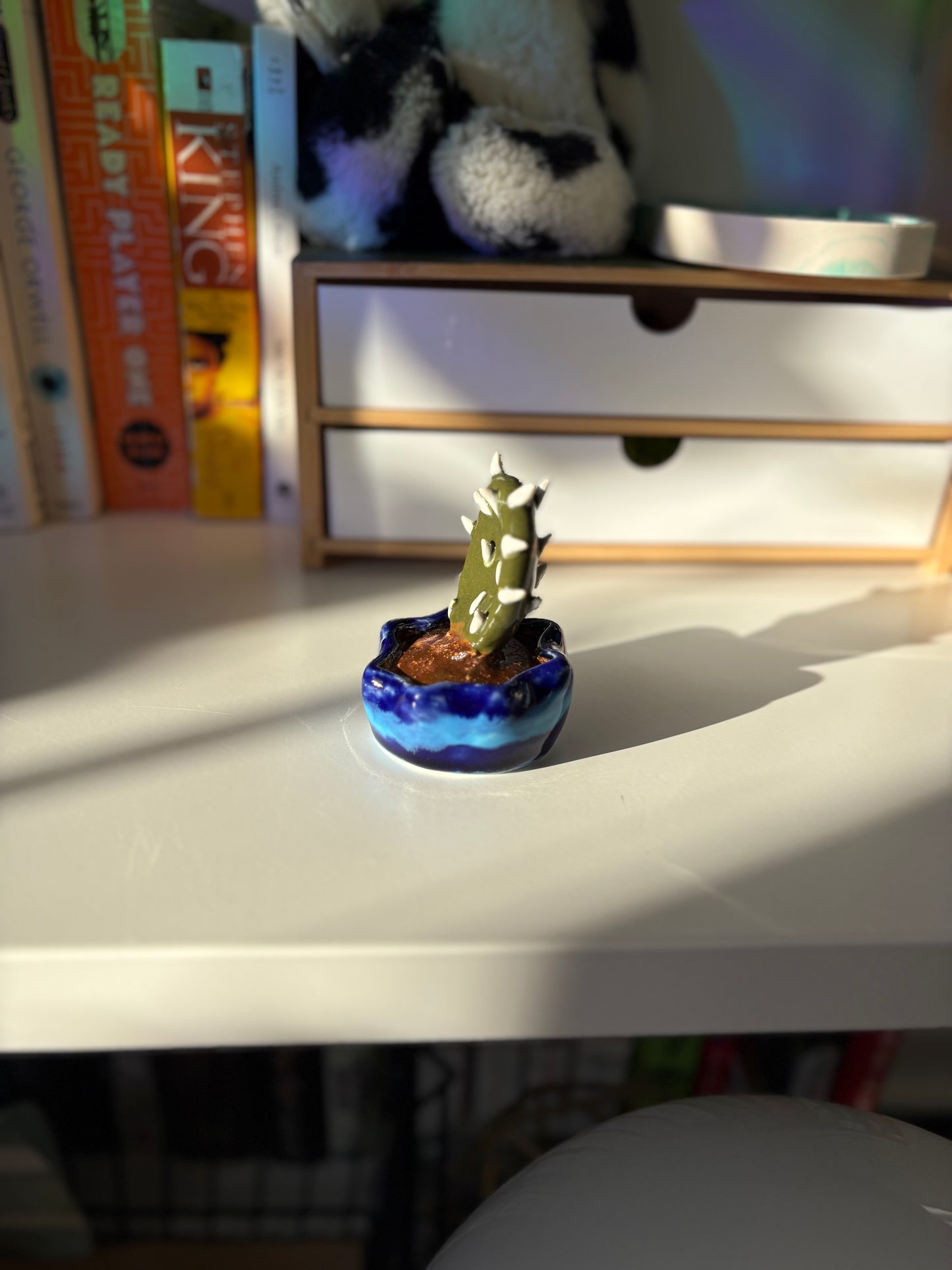 Forever Cactus (Multiple Options!)