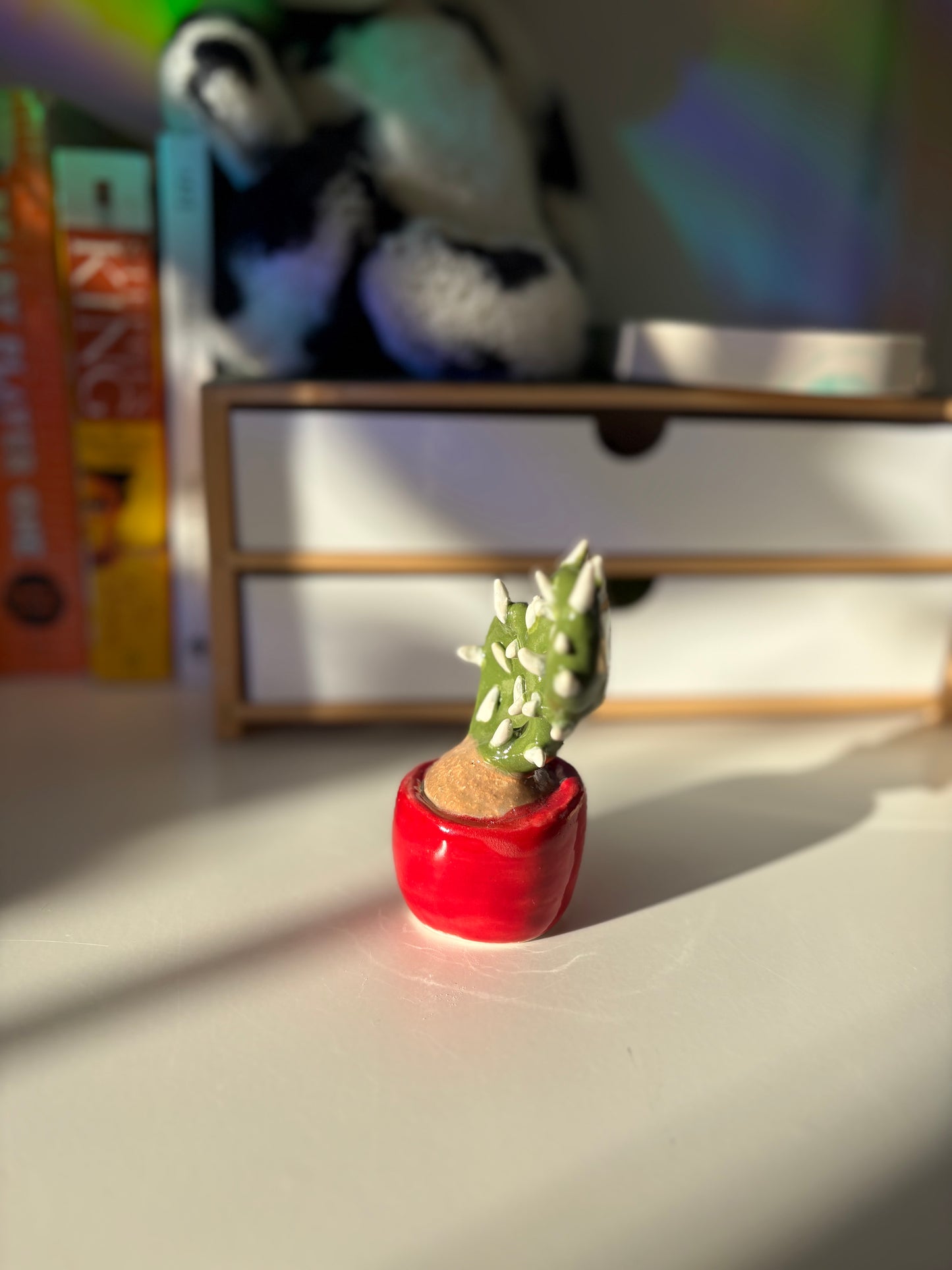 Forever Cactus (Multiple Options!)