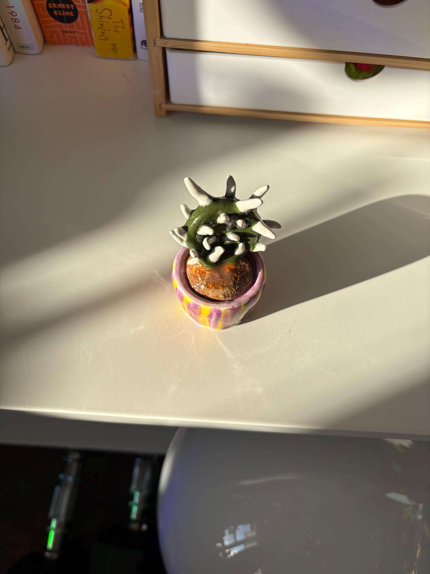 Forever Cactus (Multiple Options!)