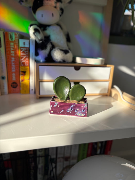 Forever Cactus (Multiple Options!)