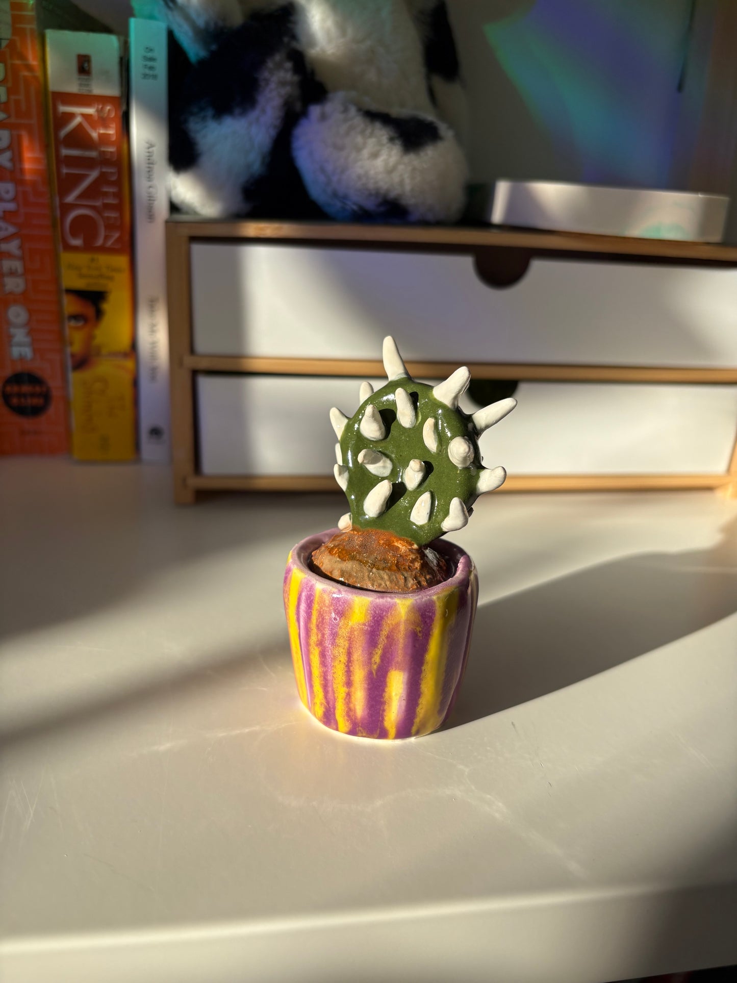 Forever Cactus (Multiple Options!)