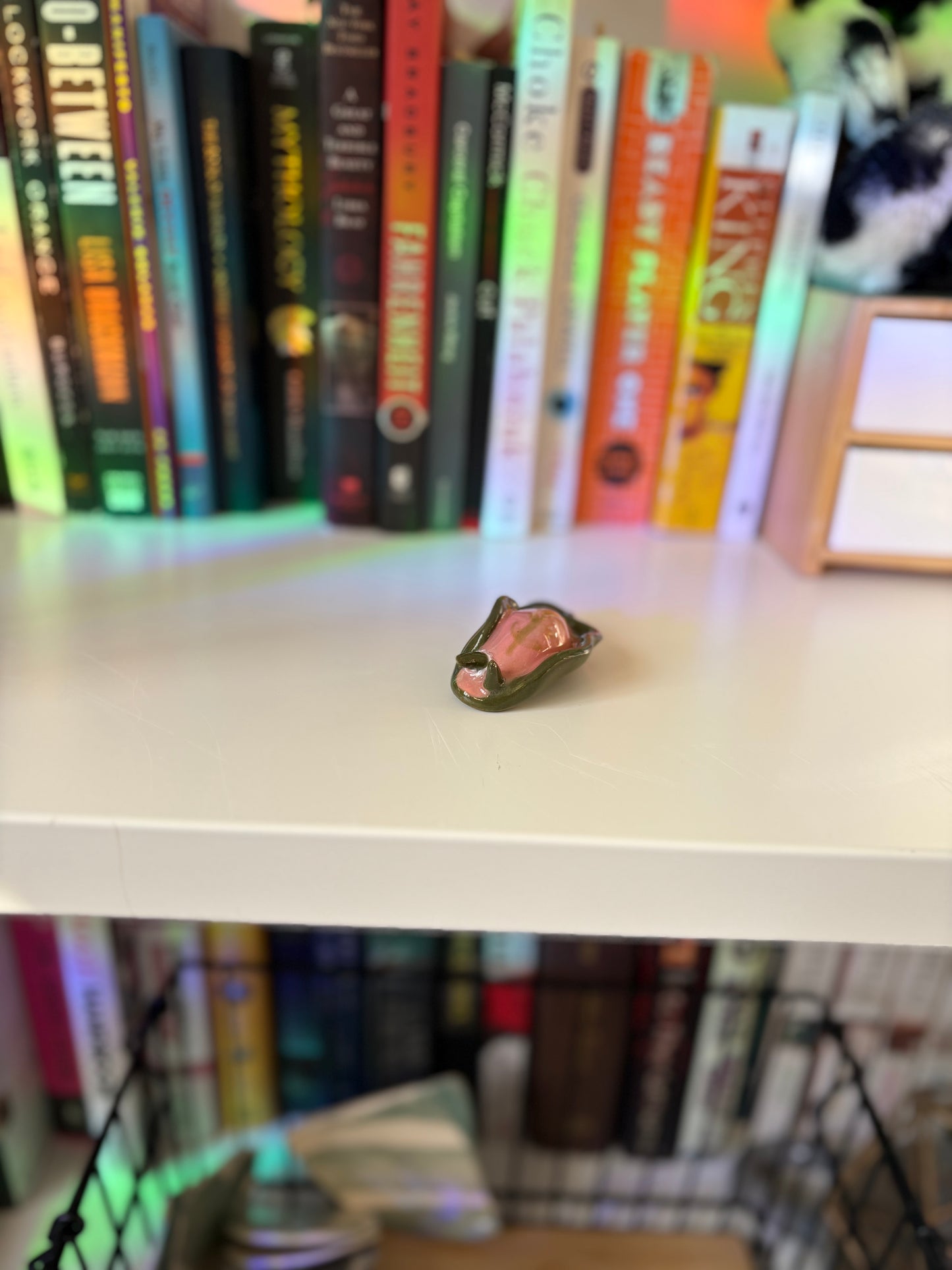 Slug Buddy (Multiple Variants!)