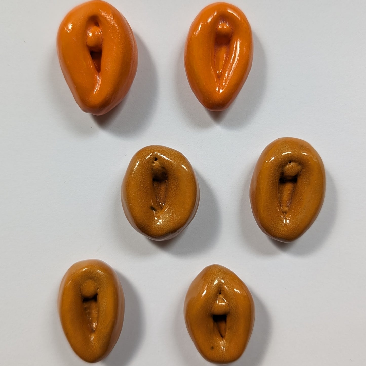 Vulva Magnets