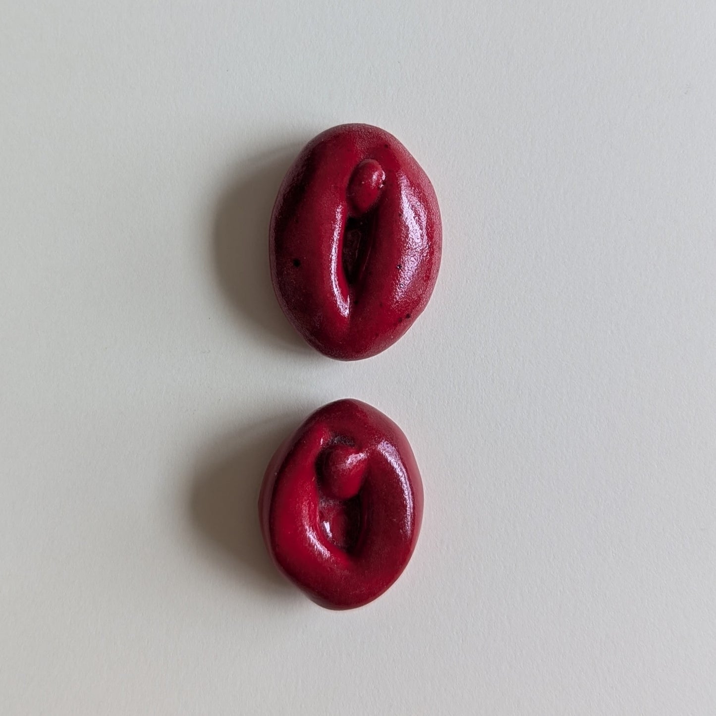 Vulva Magnets