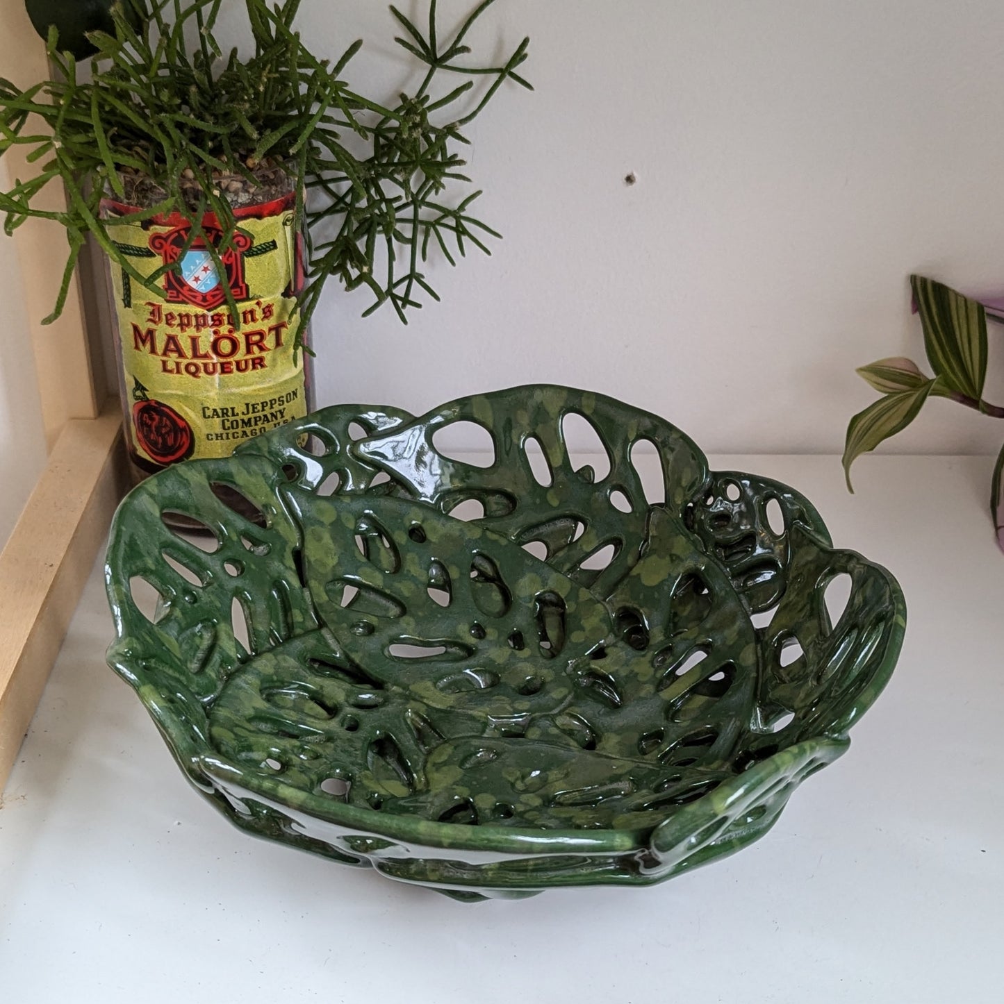 Swiss Cheese Monstera Bowl