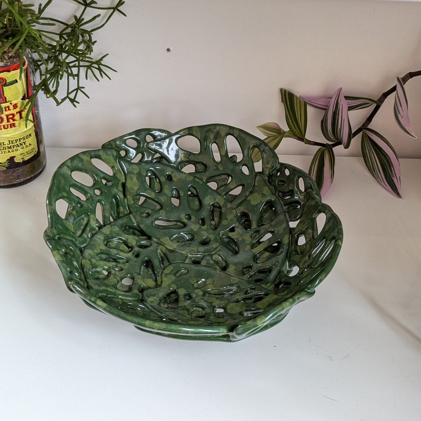 Swiss Cheese Monstera Bowl