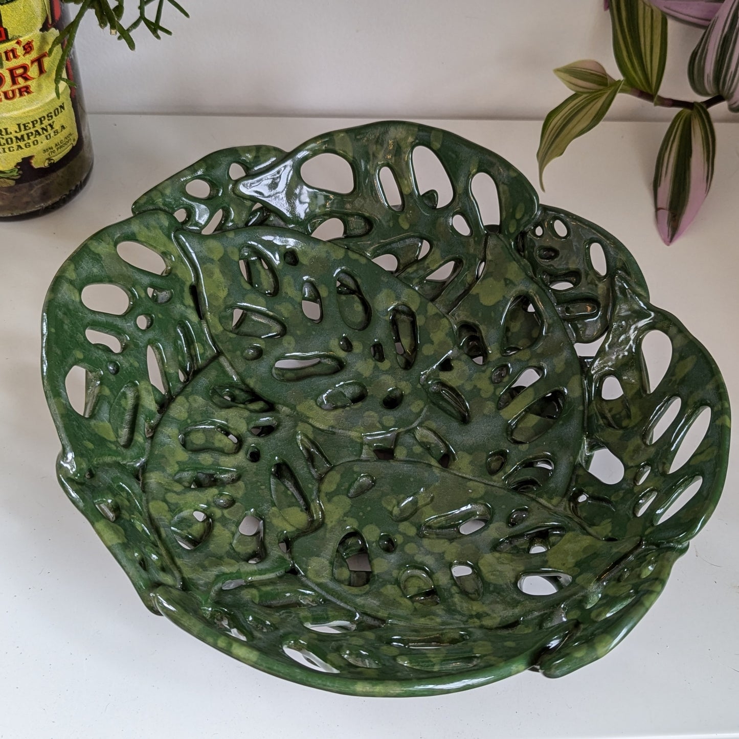 Swiss Cheese Monstera Bowl