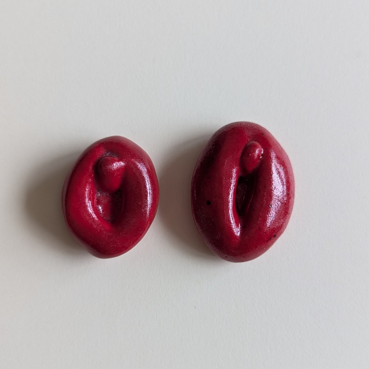 Vulva Magnets